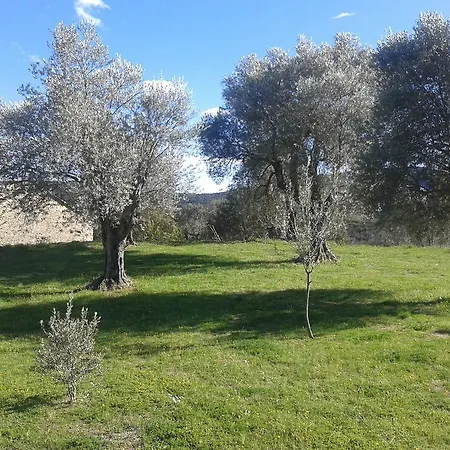 Gospodarstwo wiejskie El Rincon De Aran *