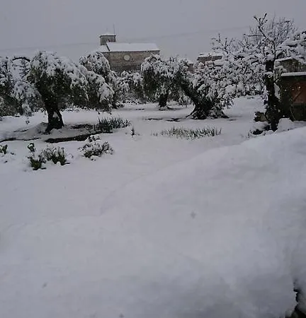 Gospodarstwo wiejskie El Rincon De Aran Lecina
