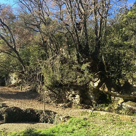 El Rincon De Aran *