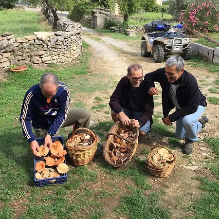 Gospodarstwo wiejskie El Rincon De Aran Lecina